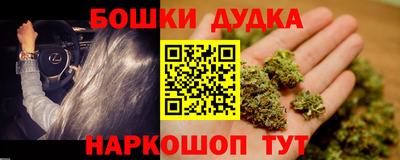 индика Усть-Джегута