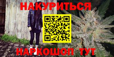 индика Усть-Джегута