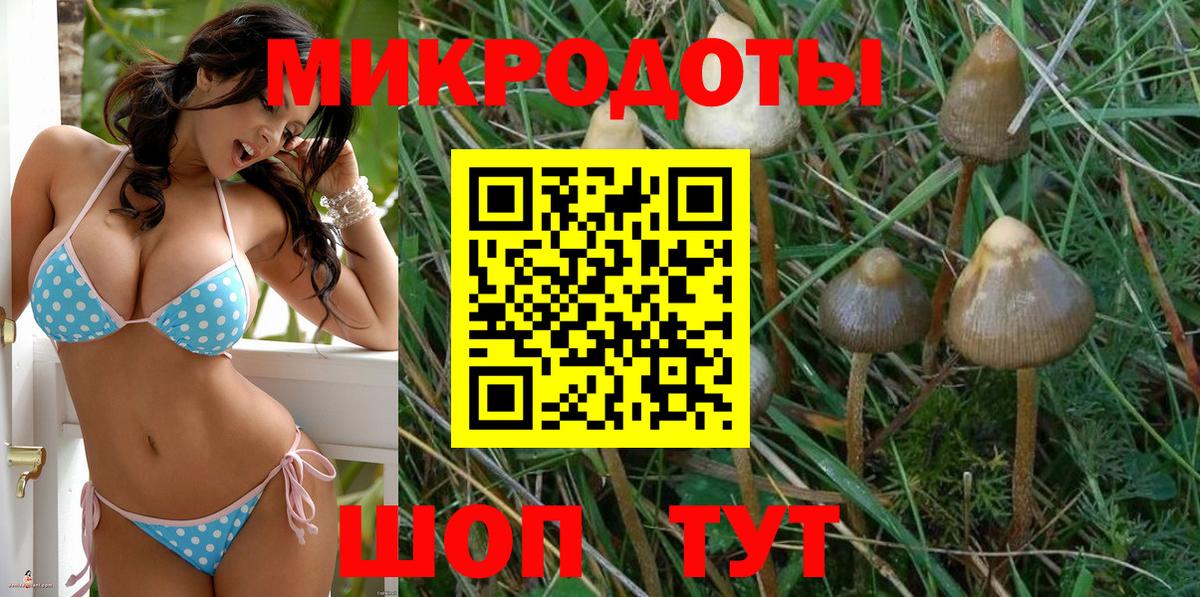 магазин  наркотиков  Вход с VPN  Благовещенск  Псилоцибиновые грибы Magic Shrooms 